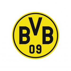bvb1.jpg